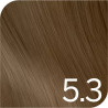 Revlonissimo Colorsmetique 5.3 DORADOS Tinte Permanente | Revlon
