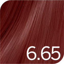 Revlonissimo Colorsmetique 6.65 ROJOS Tinte Permanente | Revlon