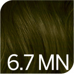Revlonissimo Colorsmetique 6.7MN NATURALES Tinte Permanente | Revlon