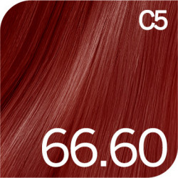 Revlonissimo Colorsmetique 66.60 ROJOS Tinte Permanente | Revlon
