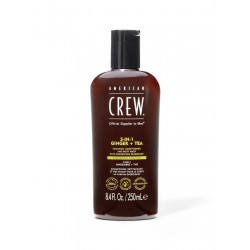 3-IN-1 GINGER + TEA 250ml