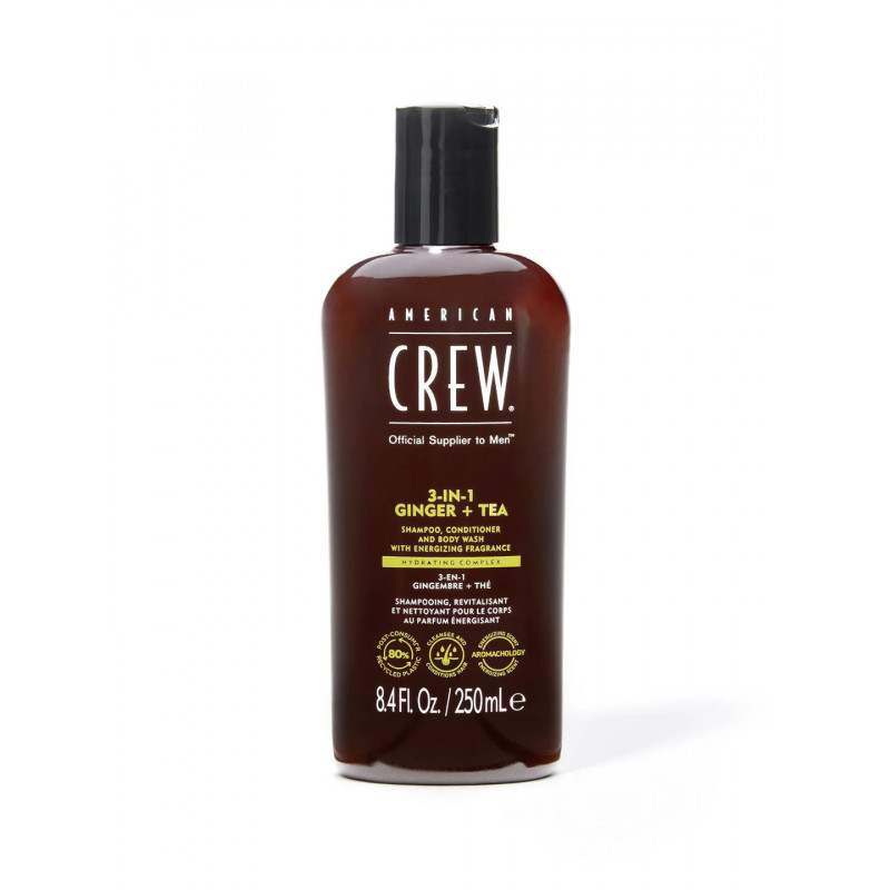 3-IN-1 GINGER + TEA 250ml
