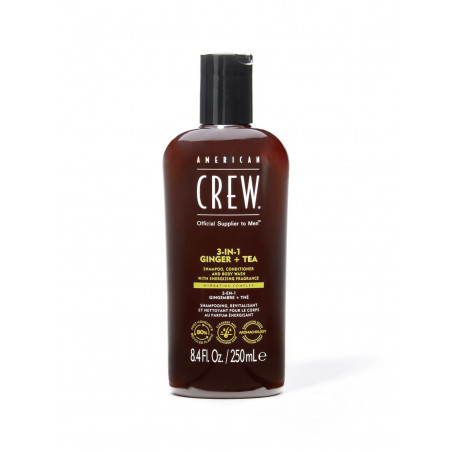 3-IN-1 GINGER + TEA 250ml