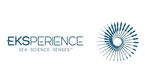 Eksperience